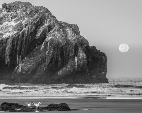 Face Rock, Bandon, OR 2013